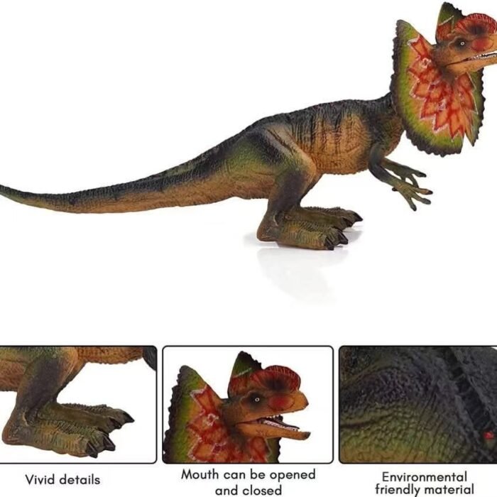 WeChat Image_20250129143912