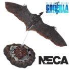 WeChat Image_20250307112249