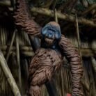 WeChat Image_20251124114750