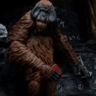 WeChat Image_20251124114812