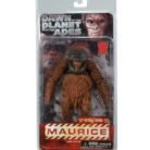 WeChat Image_20251124115046