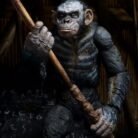 WeChat Image_20251124122124