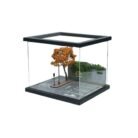 WeChat Image_20260206133844